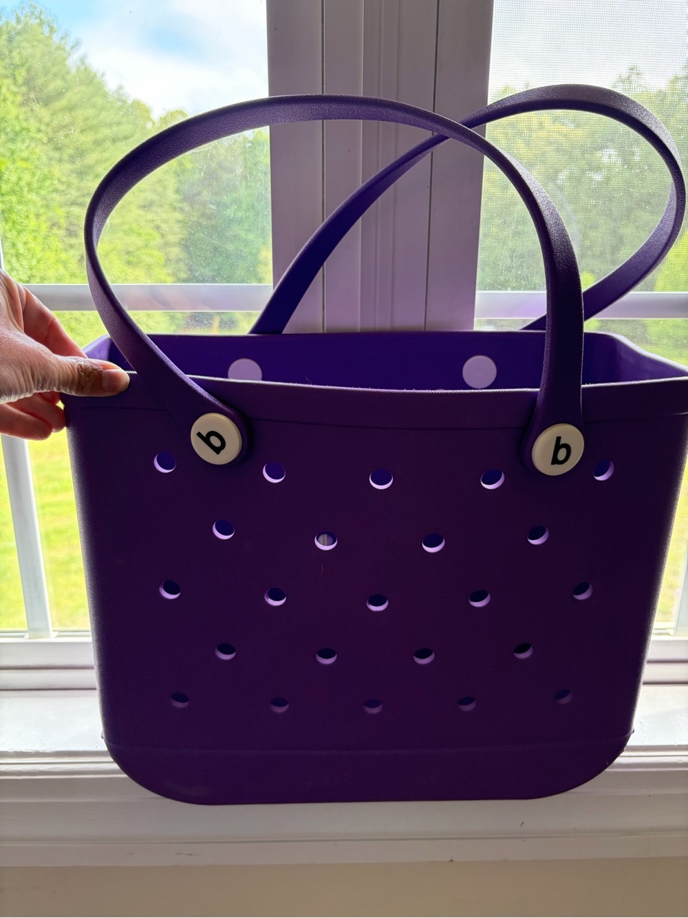 Purple Bogg Bag